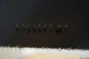 Kartenspiel schwimmen