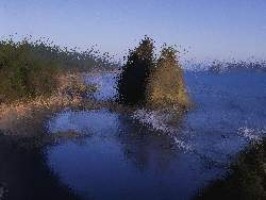 Jade dynasty klassen