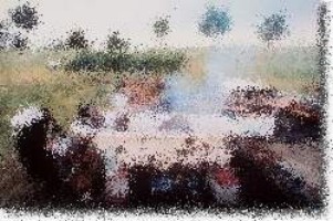 Spongebob 1001 spiele spielen