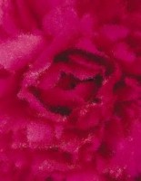 Cabal download deutsch kostenlos