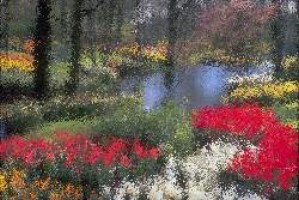 Strategiespiele download