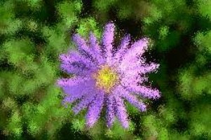 Brettspiele kostenlos spielen