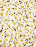 Pokemon game maker download