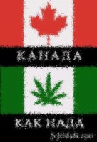 Youda sushi chef crack