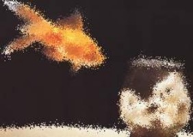 Topmodel spielsachen