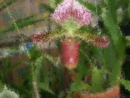 Youda farmer download rapidshare