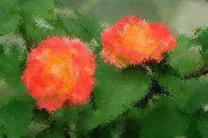 Brettspiel dame online spielen